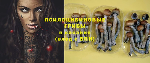 трава Беломорск