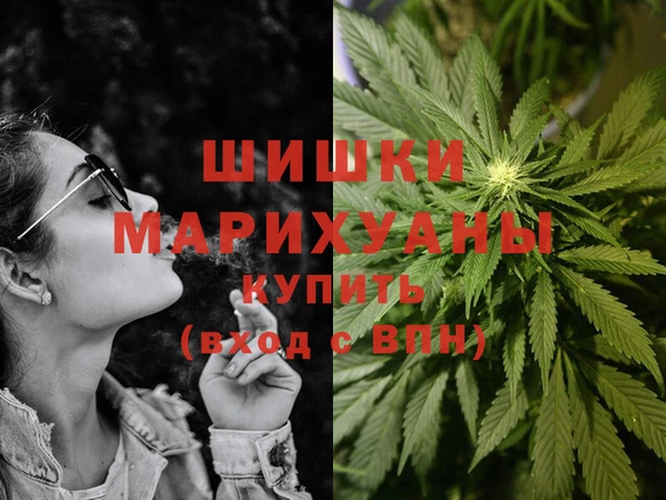 дмт Белокуриха