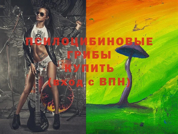 дмт Белокуриха