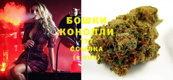 дмт Белокуриха