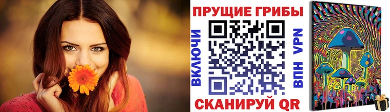 Псилоцибиновые грибы Psilocybe  наркота  гидра   Обь 