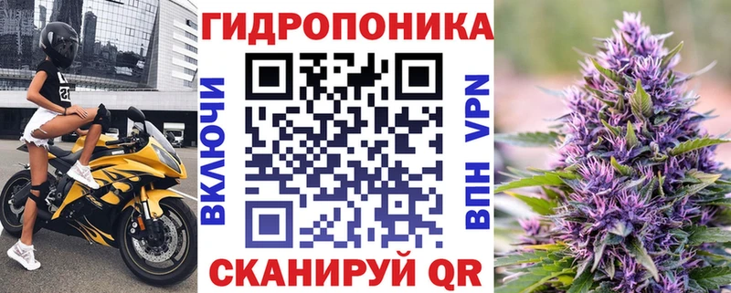 МАРИХУАНА сатива Обь